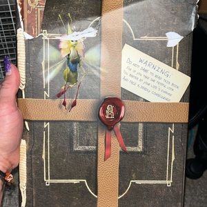 Spiderwicks chronicles